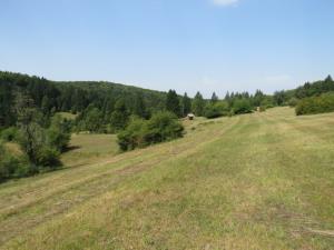 2 Košenica na robu vasi